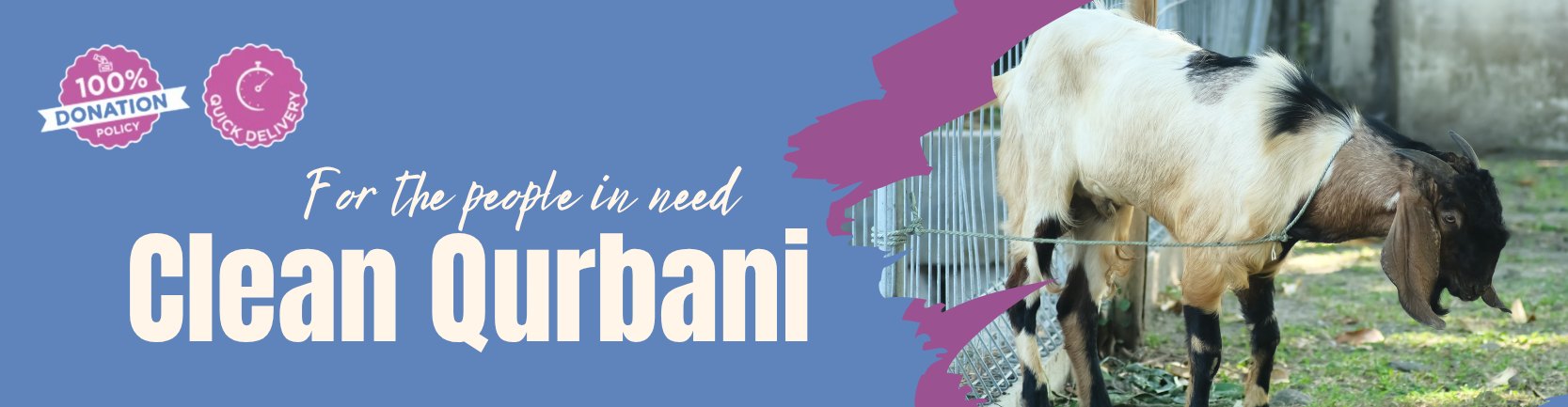 Qurbani for the Needy
